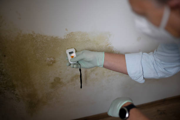 Best Crawl Space Mold Removal  in Broad Creek, NC