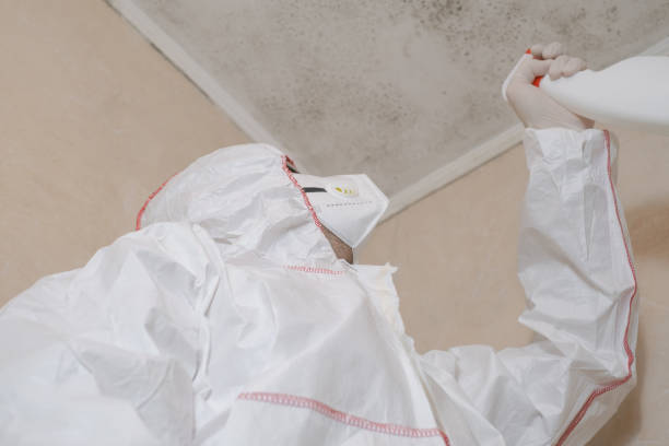 Best Certified Mold Removal  in Broad Creek, NC