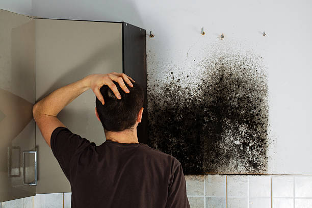 Best Office Mold Removal Services  in Broad Creek, NC